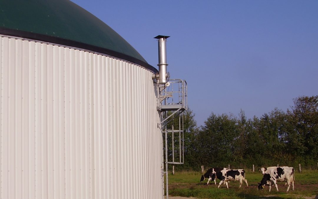 Anaerobic Digestion: A renewable source of on-farm energy